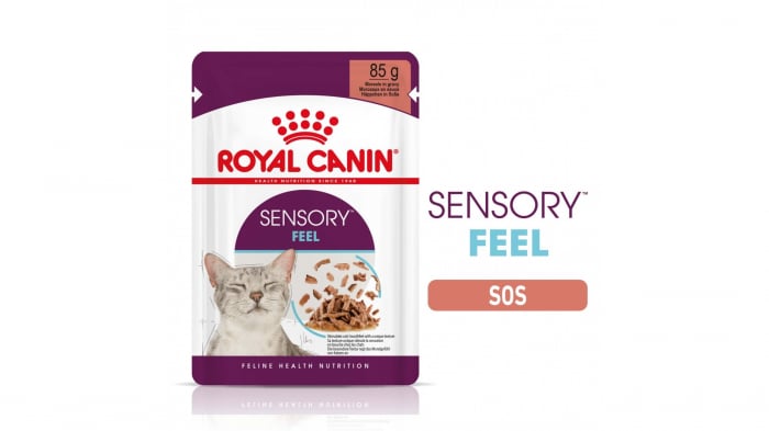 Royal Canin Sensory Feel, hrana umeda pisica pentru stimularea simtului tactil (in sos), 12x85 g [1]