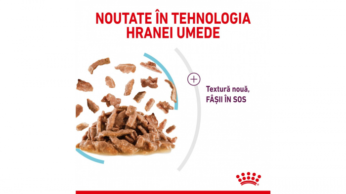 Royal Canin Sensory Feel, hrana umeda pisica pentru stimularea simtului tactil (in sos), 1 x 85 g [6]