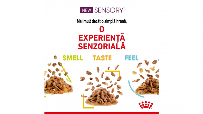 Royal Canin Sensory Smell, hrana umeda pisica stimularea simtului olfactiv (in sos), 1 x 85 g [3]