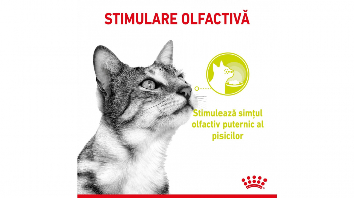 Royal Canin Sensory Smell, hrana umeda pisica stimularea simtului olfactiv (in sos), 1 x 85 g [7]