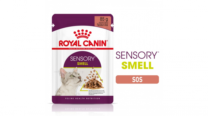 Royal Canin Sensory Smell, Hrana Umeda Pisica Stimularea Simtului Olfactiv (in Sos), 12×85 G