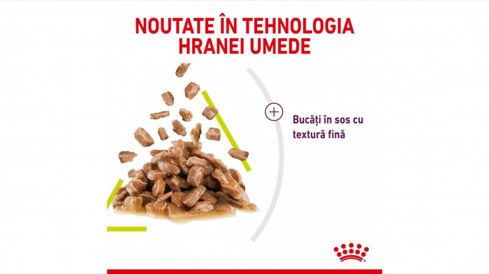 Royal Canin Sensory Smell, hrana umeda pisica stimularea simtului olfactiv (in sos), 1 x 85 g [6]