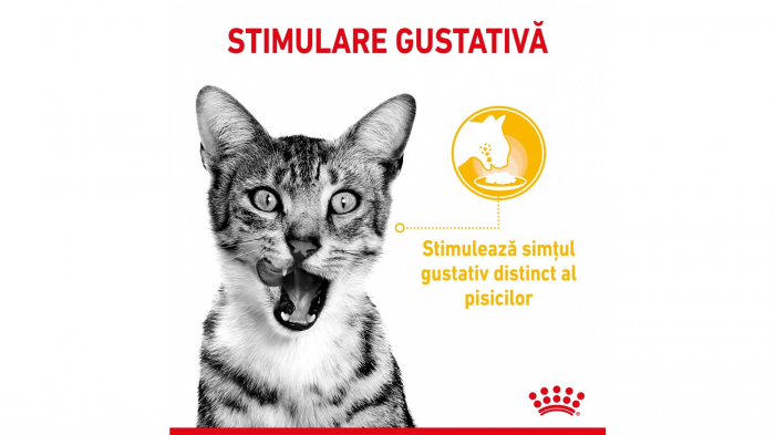 Royal Canin Sensory Taste, hrana umeda pisica pentru stimularea gustului (in sos), 1 x 85 g [6]