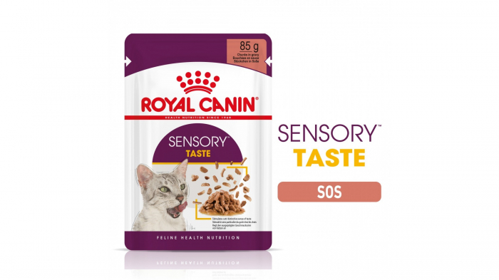 Royal Canin Sensory Taste, Hrana Umeda Pisica Pentru Stimularea Gustului (in Sos), 12 X 85 G