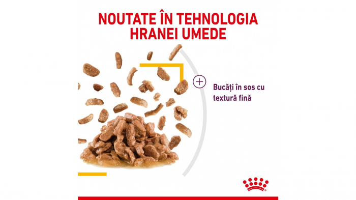 Royal Canin Sensory Taste, hrana umeda pisica pentru stimularea gustului (in sos), 1 x 85 g [5]