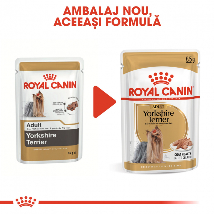 Royal Canin Yorkshire Terrier Adult hrana umeda caine (pate), 85 g [3]