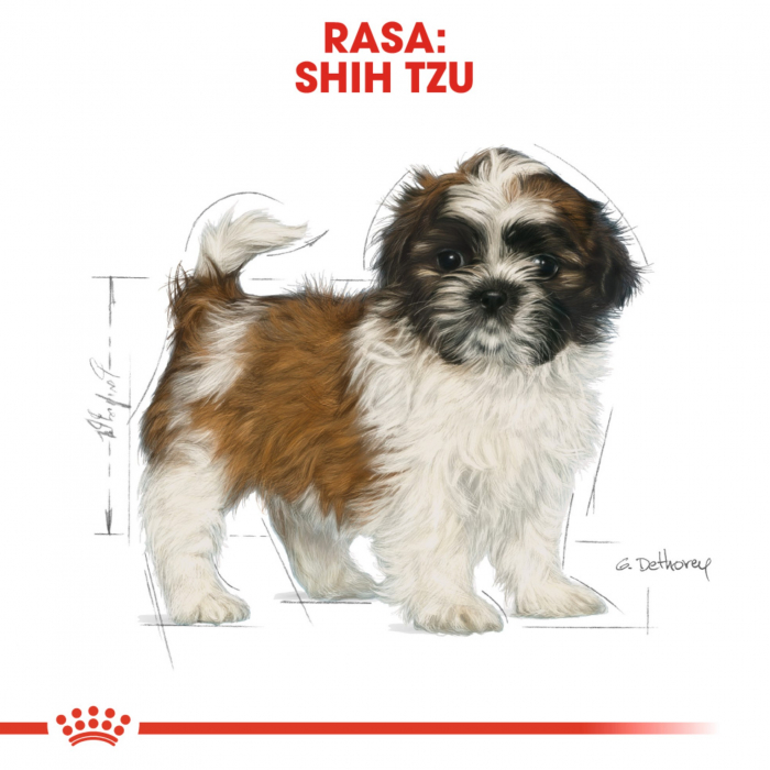Royal Canin Shih Tzu Puppy hrana uscata caine junior, 1.5 kg [2]