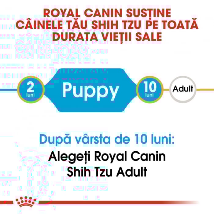 Royal Canin Shih Tzu Puppy hrana uscata caine junior, 500 g [4]