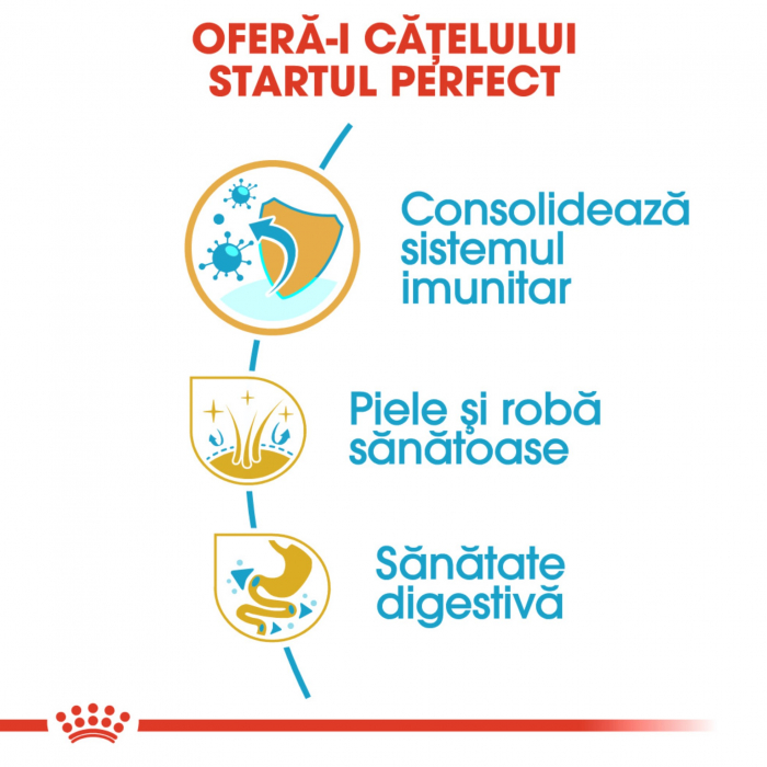 Royal Canin Shih Tzu Puppy hrana uscata caine junior, 1.5 kg [3]