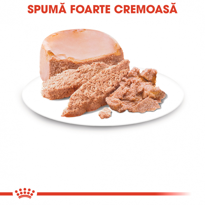 Royal Canin Starter Mousse, mama si puiul, hrana umeda caine, 195 g [2]