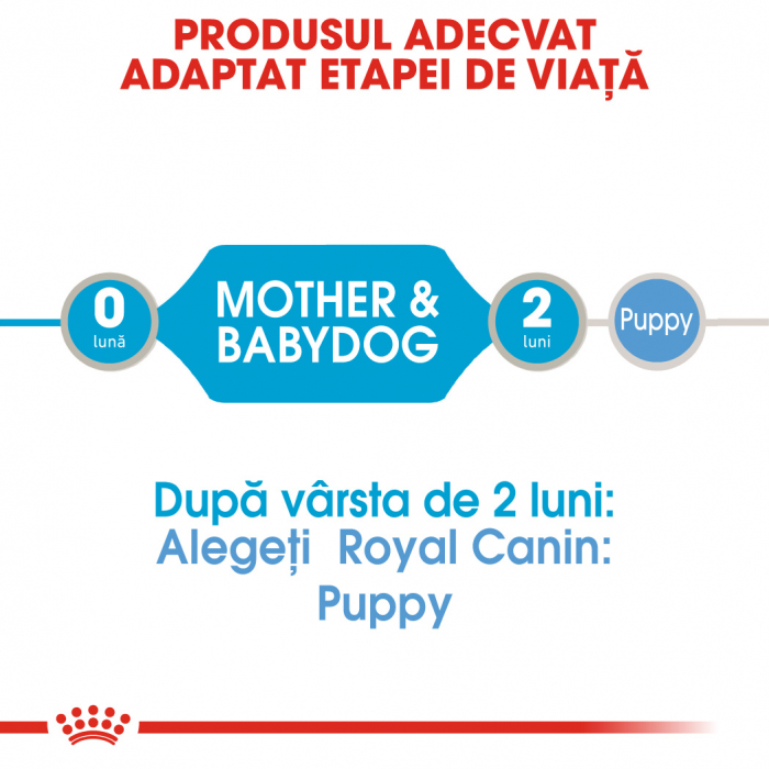 Royal Canin Starter Mousse, mama si puiul, hrana umeda caine, 195 g [5]