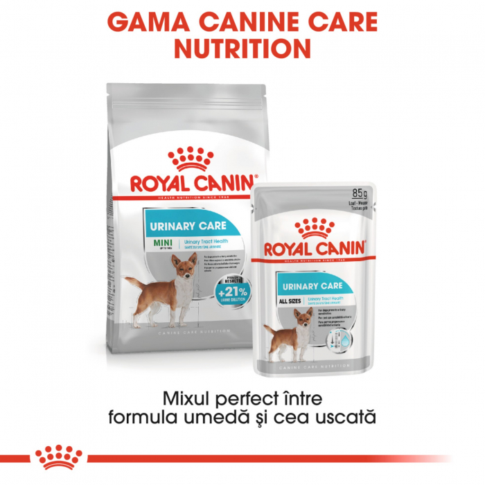Royal Canin Urinary Care Adult hrana umeda caine, sanatatea tractului urinar (pate), 85 g [9]