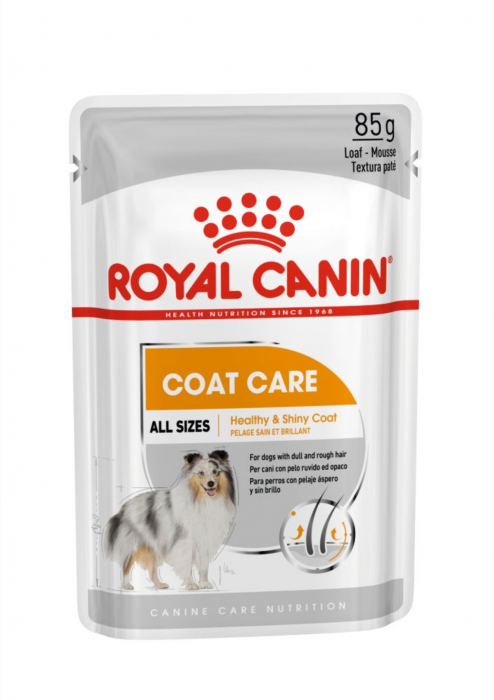 Royal Canin Coat Care Adult hrana umeda caine, blana sanatoasa si lucioasa (loaf), 85 g