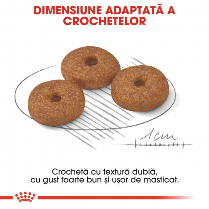 Royal Canin Mini Ageing 12+, hrană uscată câini senior, 1.5kg [3]