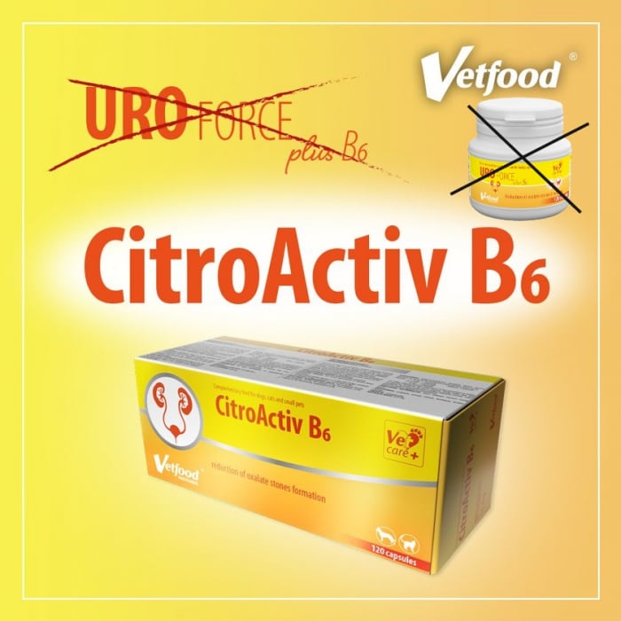 VetFood CitroActiv B6, 120 capsule [2]