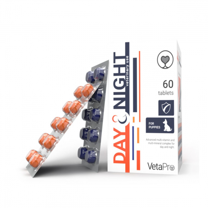 VETAPRO daynight complex vitamine 60tab cut catelusi