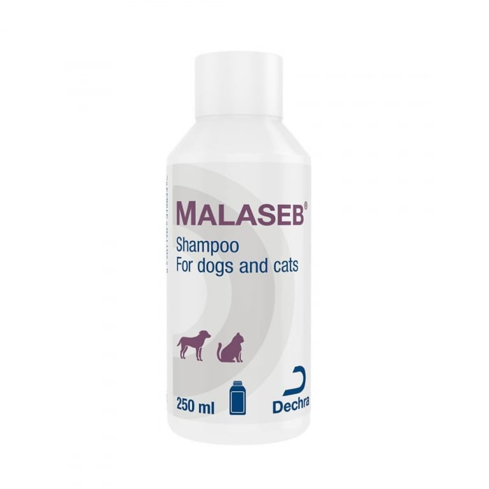 pareri reale preturi reduse Malaseb sampon dermatologic caini si pisici, 250 ml