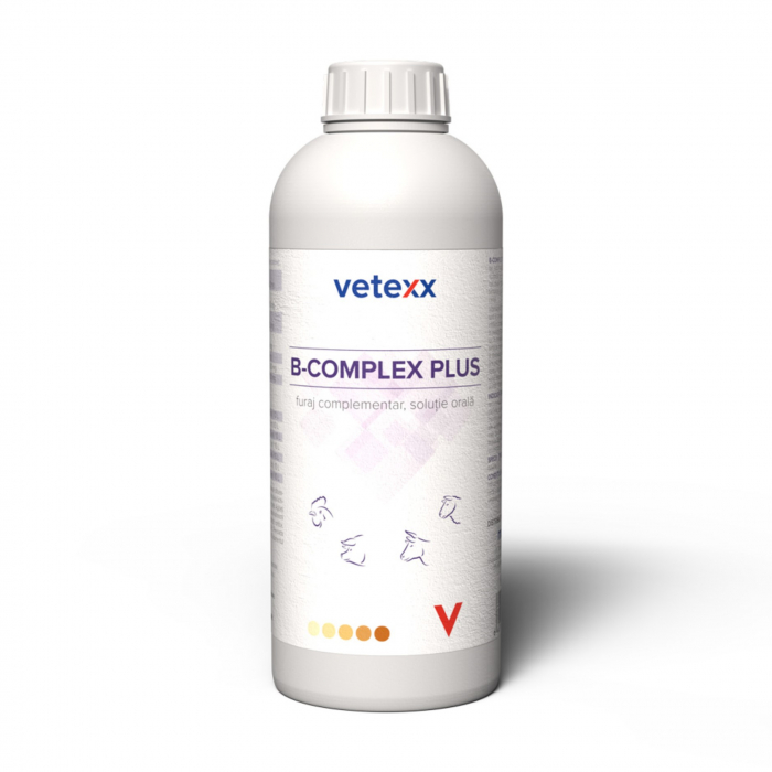 Vetexx B-Complex Plus 1L