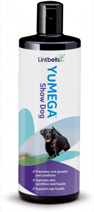 YuMOVE Skin&Coat care show dog for all dogs 500ml [3]