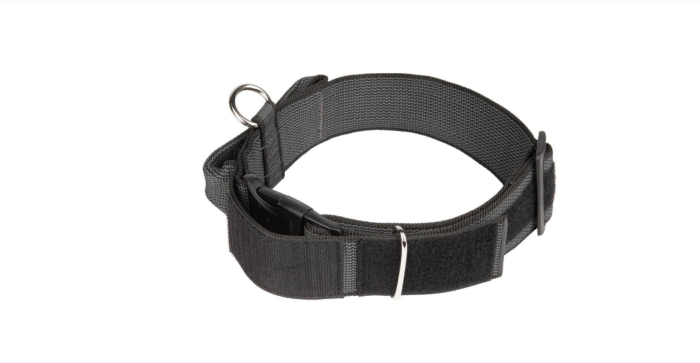 Zgarda caine Julius K9 Color & Gray, maner si inchidere siguranta - 40mm - Gri [3]