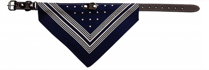 Zgarda piele Record, cu bandana - M  35 cm [2]