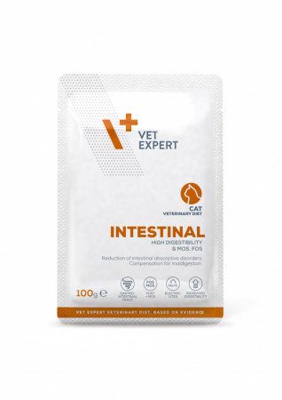 Pisici - 4T Dieta Veterinara pisici Intestinal Cat, VetExpert, plic, 100g