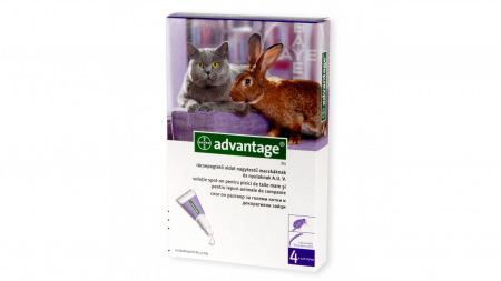 Pisici - Advantage 80 Pisica / Iepure, 4 pipete