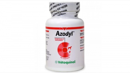 Pisici - Azodyl 90 capsule