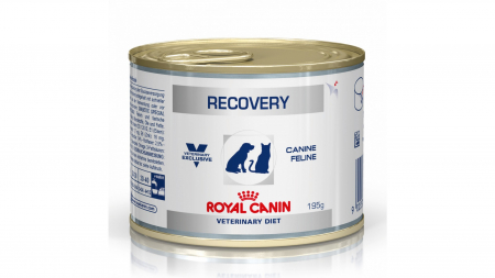 Diete veterinare caini - Royal Canin Recovery Dog & Cat 195 g