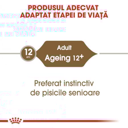 Royal Canin Feline Ageing +12, 1 X 85 g [4]