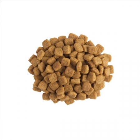 Purina UR St/Ox Cat - dieta pentru pisici cu probleme urinare - 5 kg [1]