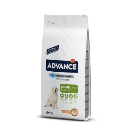 Hrana Uscata Caini - Advance Dog Maxi Junior, 14 kg