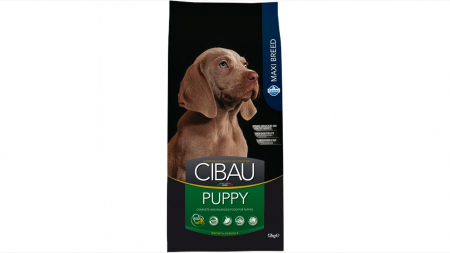 Caini - Cibau Puppy Maxi 12 kg