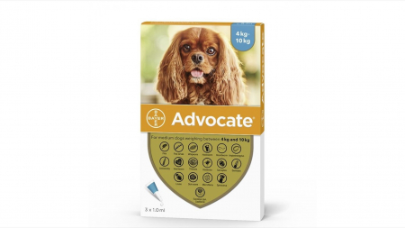 Promotii - Advocate 100 Caine (4 - 10 kg), 3 pipete