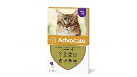 Pisici - Advocate 80 Pisica (4 - 8 kg), 3 pipete
