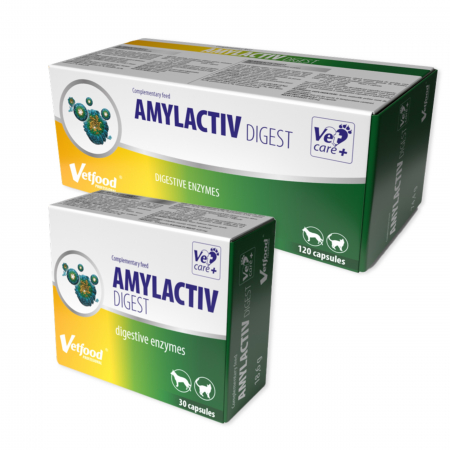 Afectiuni Digestive - Amylactiv Digest, 30 capsule