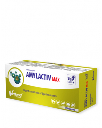 Afectiuni Digestive - Amylactiv Max, 120 capsule