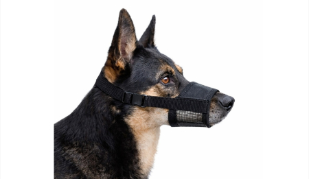 Accesorii caini - Botnita din nailon pentru caini, ajustabila - XL 22–26 cm