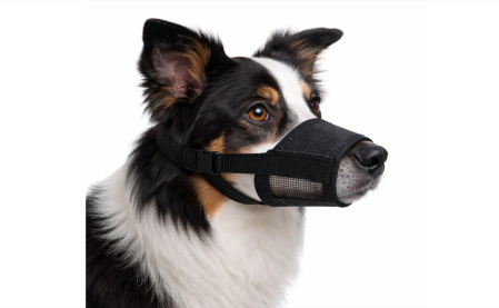 Accesorii caini - Botnita din nailon pentru caini, ajustabila - M 16-18 cm