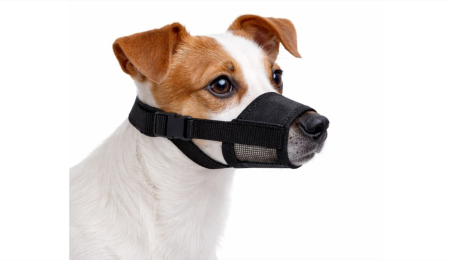 Accesorii caini - Botnita din nailon pentru caini, ajustabila Nayeco - S 14-17 cm