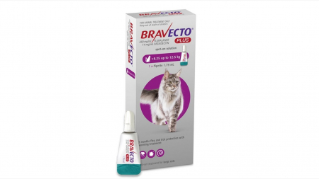 Caini - Bravecto Plus Spot On Cat 500 mg (6.25 - 12.5 kg), 1 pipeta