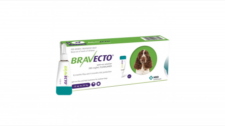 Caini - Bravecto spot on caine (10-20 kg) 1 pipeta