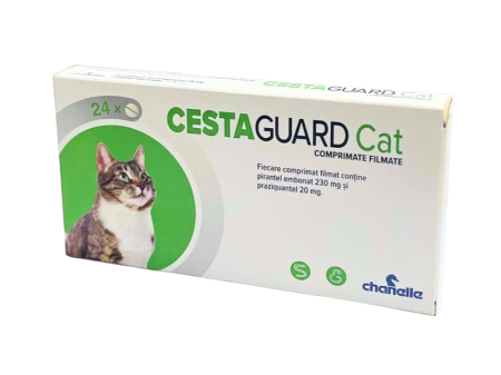 Deparazitare interna - Cestaguard Cat 1 comprimat