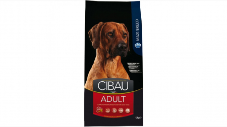Caini - Cibau Dog Adult Maxi 12 Kg