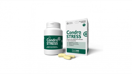 Caini - CondroSTRESS+, 90 tablete