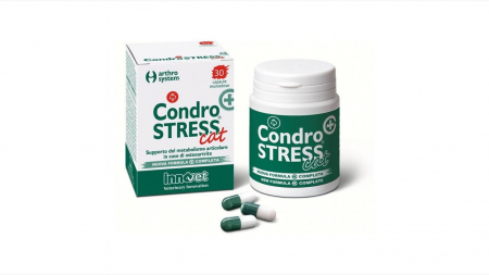 Suplimente nutritive, vitamine - CondroSTRESS Cat, 30 capsule