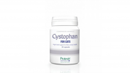 Afectiuni Renale / Urinare - CYSTOPHAN pentru cats pisici - 30 capsule