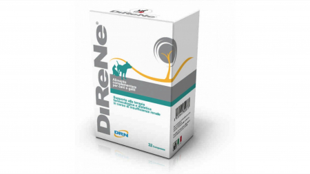 Afectiuni Renale / Urinare - DIRENE, 32 Tablete