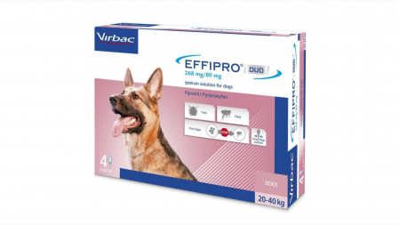 Deparazitare externa - Effipro Duo Dog L 268 mg (20 - 40 kg), 4 pipete