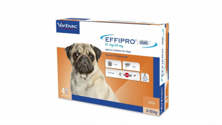 Deparazitare externa - Effipro Duo Dog S 67 mg (2 - 10 kg), 4 pipete